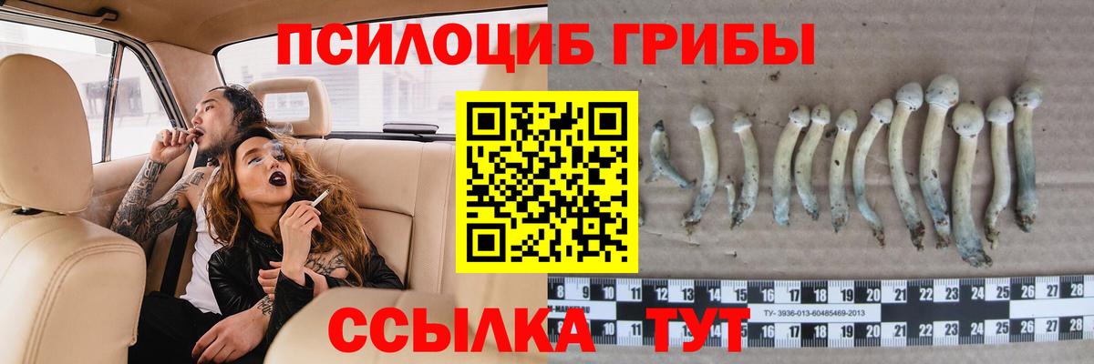 Звенигород  Галлюциногенные грибы мухоморы  Вход с VPN  Псилоцибиновые грибы Psilocybine cubensis 